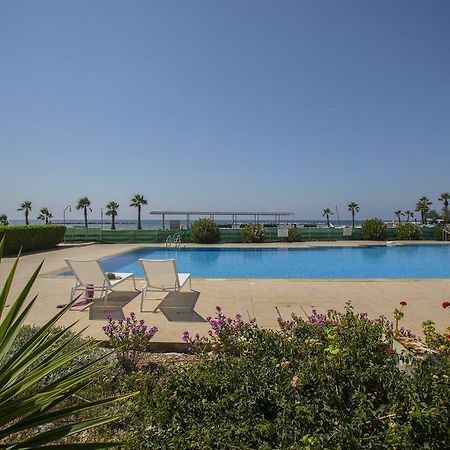 Larnaca Sunshore Beachfront Suite オロクリニ 部屋 写真